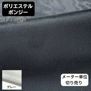 [^[؂蔄@|GXe@|W[@148cm@@O[@2F@n߁@n@Dޗ@CeA@@Ŗʎdグ