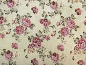 [WK[h@Suԕ@145cmЁ@CeAn