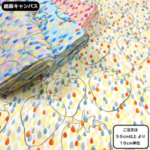 ȖLoX@k@n@SHIZUKU ICHIGO@