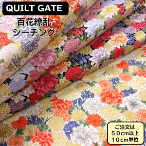 LgQCg S㇗ a ԕ n Rbg V[`O e䉖