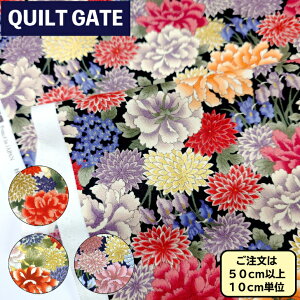 LgQCg S㇗ a ԕ n Rbg V[`O e䉖