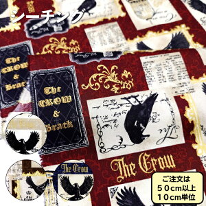 V[`O n The crow AeB[N JX