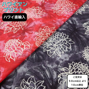 nCAt@ubN@TCu[h@veA@Xe[t@Of[V@ynCAnz