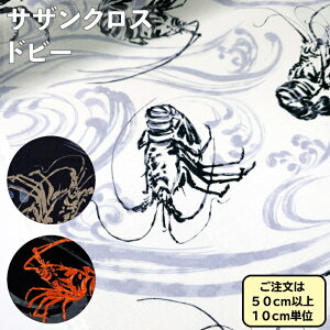 TUNXhr[ HOKKOH n avg CV