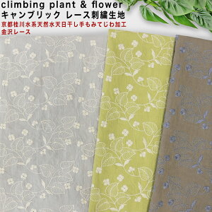 sj쐅nVRV݂ĂHclimbing plant & flower LubN[XhJn 10cmP2m܂ŃlR|X|GuC_[|Ȗ|n[tl|{Y|i`|{C|kinar