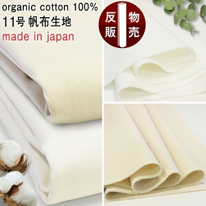 y̔zI[KjbNRbg11z n n sc-og471100t͂|ʔ|ٓ||ObY||㗚|L@͔||VR|Rf|{|TXeBiu|ق|g[g|100|J