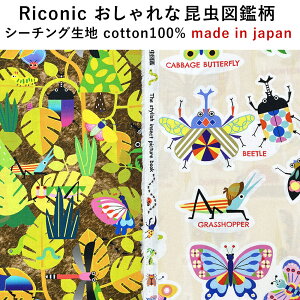 ywzȍ}ӕvg V[`On isyi-rr2030y3m܂ŃlR|Xz50cmP|12WJ|nhCh|NX|uEX|G|z|||j̎q|w |b