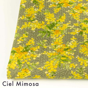 [10cm�P��] [ 2026���b�v�� ]Ciel Mimosa�b�V�G���~���U�b�|�v�������b�v���b ��108cm��[No.26025] �z�E���n�̒ʔ̃L�W�L�W ���n �z [���[����2m���܂�]