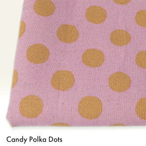 [ 10cm�P�� ] Candy Polka Dots �b�L�����f�B�|���J�h�b�g �b�R�b�g�����l���L�����o�X�b �z�E���n�̒ʔ̃L�W�L�W [ ���[����3m���܂� ]