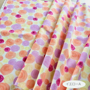 `̃^b`DKiji StorevgRNV`vv`@ڂ