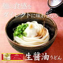 【 送料無料 】讃岐うどん ならではの 二膳生醤油うどんセット | さぬき うどん 香川 さぬきうどん 讃岐 生醤油 取り寄せ お取り寄せ お取り寄せグルメ ギフト プレゼント お祝い 内祝い 出産祝い 退職祝い グルメギフト 内祝 食品 食べ物 おすすめ