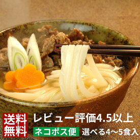 【 送料無料 】【ネコポス】 讃岐うどん を メール便 で さぬきうどん ツルっと亀〜る | うどん さぬき 讃岐 お取り寄せ お取り寄せグルメ ギフト 香川 半生 うどんセット セット プレゼント 半生うどん お祝い 内祝い 出産祝い 退職祝い 還暦祝い グルメ 引っ越し祝い