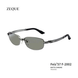 Feiz'57@F-2002@Zeque / [N[@ΌTOX@^bNX}bgN[@OtB[h@}@ނ@tBbVO@}W[@X|[cOX@@B