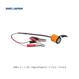 BMOUSB\Pbg 2iType-A/Type-CjjP[ut40B0037gс@[d@@ނ@tBbVO@r[GI[@@B