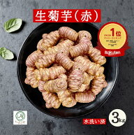 【レビュー星5 楽天1位】新鮮 おいしい 生菊芋  国産 赤菊芋 3kg...