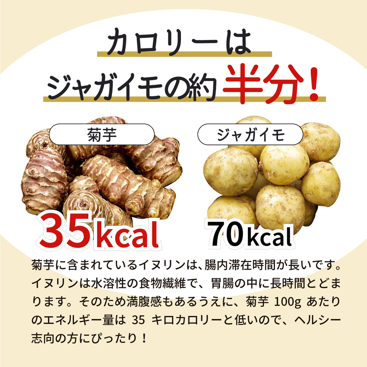 日本全国送料無料 菊芋イヌリン 2.5g×30包
