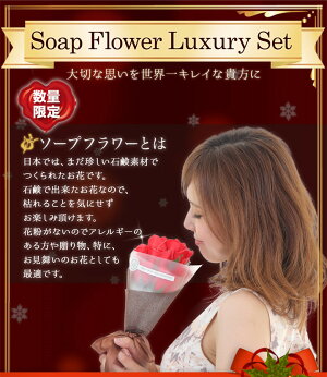 【あす楽送料無料】《限定豪華ラッピング付》2デザインレディーススウィートオープンハートネックレススワロフスキーネックレスハートギフト星座誕生日プレゼント女性クリスマスプラチナ18金ゴールドシルバーイタリア製チェーンジュエリー