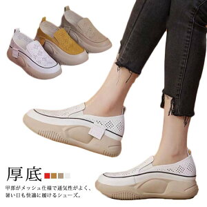  r EH[LOV[Y JWAV[Y  bV ʋC K Xj[J[  Od lԍHw L y Xb| fB[X t   [t@[ [J