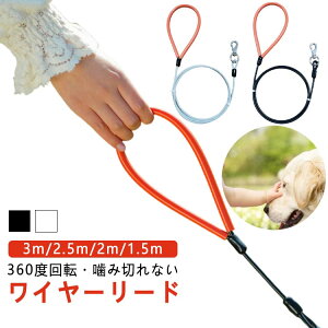  C[ [h 3m 2.5m 2m 1.5m C[[h p [h ̃[h p[h [h^ N[   nCNIeB h ݐ؂Ȃ ϋv U ^ 