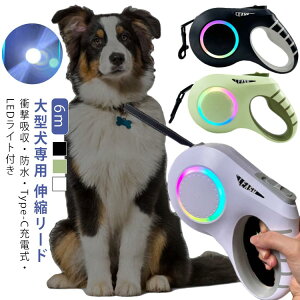 ^ Lk[h 6m LED Cgt ͋CCg USB [d  [h Lk  p ^ ^ hbO[h ^b`pl ^b` Type-C [d eʓdr  ybgp [h 