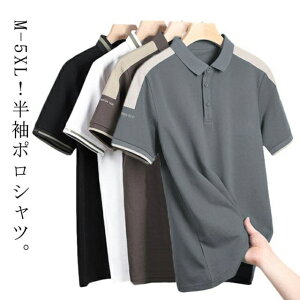  |Vc  Y StVc |Vc rWlXVc  z ݕt StEFA   傫TCY X|[c n  JWA ItBX 