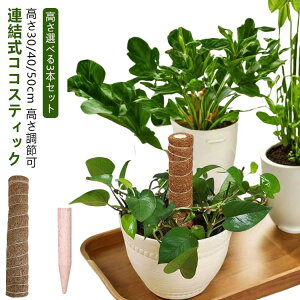 3本入 連結式 モンステラ 支柱 ココスティック 観葉植物 支柱 園芸支柱 植物 ガーデニング用 花ささえ ココナッツ支柱 植物サポート つる性植物 トマト ポトス 支柱 園芸用 園芸支柱パーツ