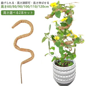 2{ Xe x Ȃ RRXeBbN ϗtA x |x A K[fjOp Ԃ RRibcx AT|[g 鐫A g}g |gX x |p |xp[