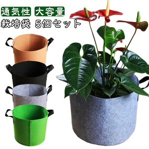 sDz|bg 7K z v^[ 5Zbg A 5Zbg ۂz Aؔ sDz|bg ͔| K[f ʋC diy | A琬 ؍͔|