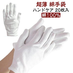  Ags[ ĝ 20g nhPA Ǝ Ȏ r 100 z  Rbg V 20g Ɨp iCg   Ci[ K[fjO ʋC z 