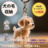 犬の毛収納キーホルダー メモリアルペットグッズ 透明ケース 愛犬 犬の毛キーホルダー 遺毛入れ 抜け毛入…