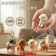 犬の毛収納キーホルダー メモリアルペットグッズ 透明ケース 愛犬 ペット 遺毛ケース 透明 遺毛入れ メモ…