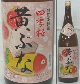 栃木・宇都宮酒造　四季桜（しきさくら） 特別本醸造　黄ぶな　1800ml