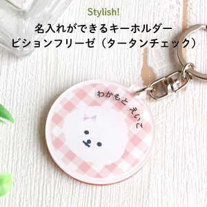 ������ ���O���� �L�[�z���_�[ �h�ی^�̗��ʈ���̃A�N�����L�[�z���_�[ �r�V�����t���[�[�ƃ^�[�^���`�F�b�N�������킢���h �A�N�L�[ �� �r�V���� �������w �`���[�� ���U���o�b�O ���E