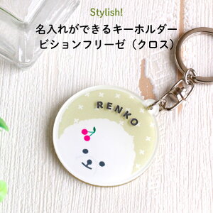 ������ ���O���� �L�[�z���_�[ �h�ی^�̗��ʈ���̃A�N�����L�[�z���_�[ �r�V�����t���[�[�ƃN���X�������킢���h �A�N�L�[ �� �r�V���� �������w �`���[�� ���U���o�b�O �q�� �L�b�Y ����