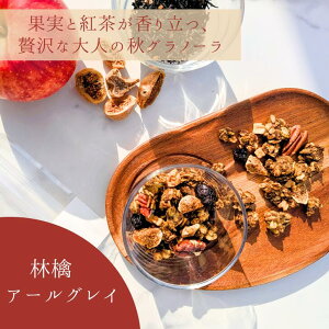 [Vi] KIKKA 𔔃Om[ ьA[OC e200g đ̎ ̃t[c ibc sgp