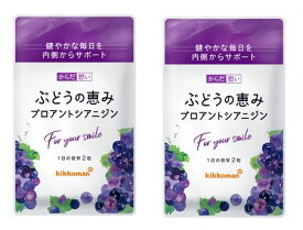 【12月19日以降出荷】ぶどうの恵み プロアントシアニジン 2袋（約2ヶ月分 120粒）サプリ ぶどう種子 ポリフェノール 若々しさ シミ 対策 赤ワイン 4倍【送料当店負担 メール便】【キッコーマン公式通販】