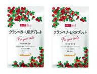 クランベリーURタブレット 2袋（約2ヶ月分 180粒）キナ酸 デリケートゾーン 悩み プロアントシアニジン …