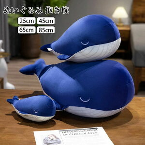 y̔!zNW ʂ RR     q ޏ 킢  傫TCY  YQ   j v[g Mtg 