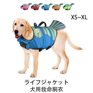 y̔!zp CtWPbg CtxXg ^ ^ }WbNe[v  C̐Vт ̖h~ v[ nr ~ jpWPbg ̃CtWPbg 