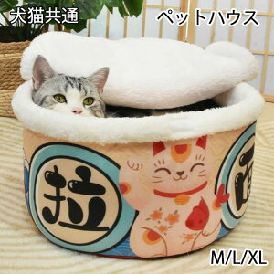 y̔!zybgnEX LnEX ӂӂ Lpxbh ~p ybg\t@ ΍ LbgnEX  L Jbv f ^ ^ ybgxbh Q L ۉh _炩