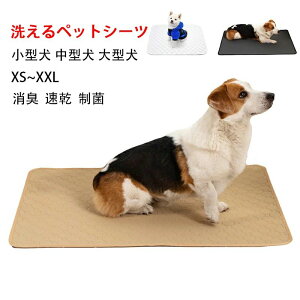 y̔!z􂦂ybgV[c ybgV[c 􂦂 ~ ybg L ybg V[c 􂦂 ۂƐ􂦂 ~}bg ld\ Rh~  ~ ^ ^ ^  L 