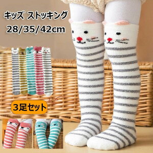 C LbY XgbLO 3Zbg 3D  j[nC\bNX 3TCY 28cm 35cm 42cm Aj} g xxbg p C ʊw ʉ L lR Lcl ETM g ct w