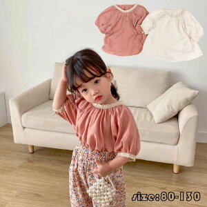 yz!X[p[SALEzq tVc  Ȗ Rbgl ̎q ۋ  qǂ  JWA  WjA ʊw /w/p[eB IW x[W 80-130