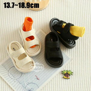 yz!X[p[SALEzT_ LbY qT_ r[`T_ ̎q LbYV[Y ɂ \tg̒ xr[ qp Pn jZbNX qǂ 킢   