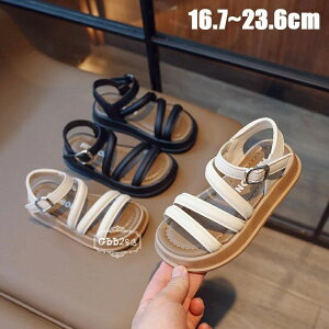 yz!X[p[SALEzT_ LbY qT_ r[`T_ ̎q LbYV[Y ɂ xr[ qp Pn qǂ 킢   /w/p[eB ub