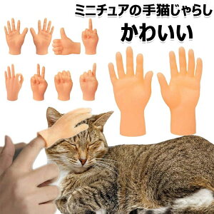 【P5!1344円→実質1277円 10/27まで】猫じゃらし猫のおもちゃ 犬用おもちゃフィンガー ミニ手模型 ペット用 手指用手のひら型ミニチュア指 猫指んわ 猫コーム 柔らかい ミニハンド おもしろい