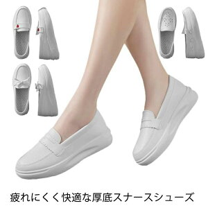 y̔!zi[XV[Y Ȃ  pvX  Ōt 킢   ƌC wlC ʋC ΍ r y _炩 É Xb| y ȂC Ռz ɂ