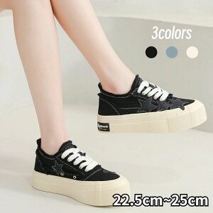 y̔!zfB[XXj[J[V[Y_bhZXj[J[EH[LOV[YCq[ꂩ킢CXj[J[ubNzCgsNx[Wrg