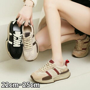 yz!X[p[SALEzXj[J[ YXj[J[ wC XN[V[Y y X|[cV[Y jOV[Y ʋC bV EH[LOV[Y ^C C YV[Y 