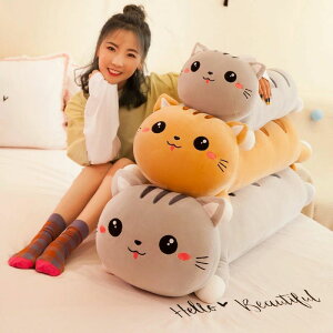 yP10{I4080~3672~ 11/11܂Łz70cm L ʂ Gӂӂ YQ cat   q  D   NbV  ܂ʂ 傫ɏ㔧G